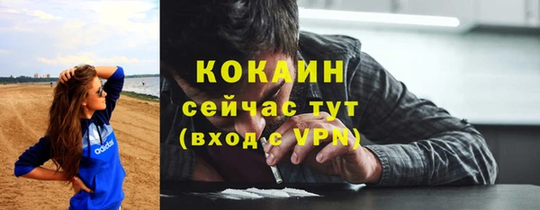 индика Алексин