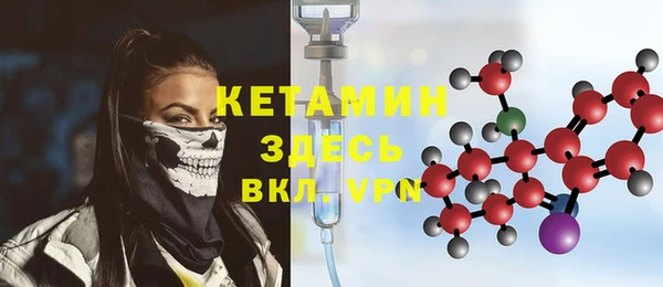 индика Алексин