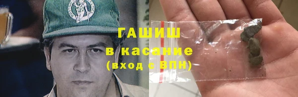индика Алексин