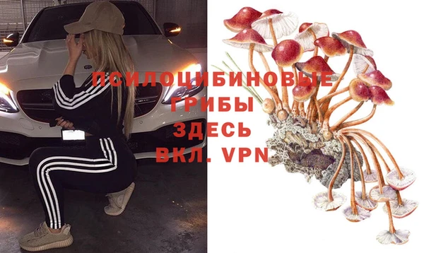 MDMA Каменногорск