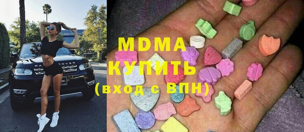 индика Алексин