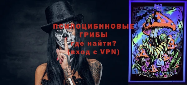 индика Алексин