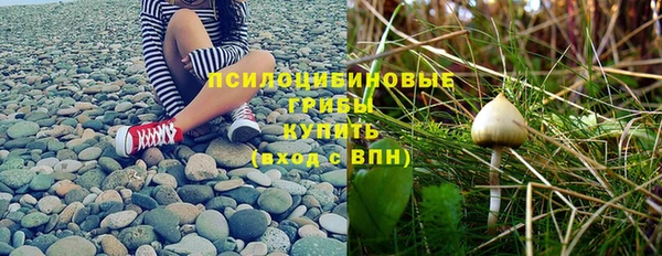 герыч Сатка