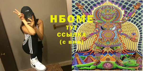индика Алексин