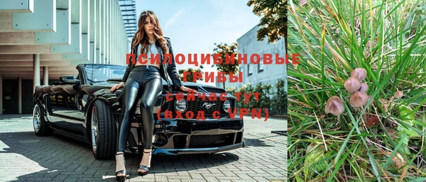 индика Алексин