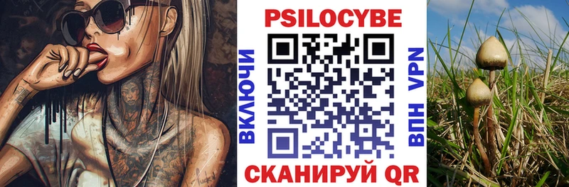 даркнет сайт  Звенигово  Псилоцибиновые грибы прущие грибы 